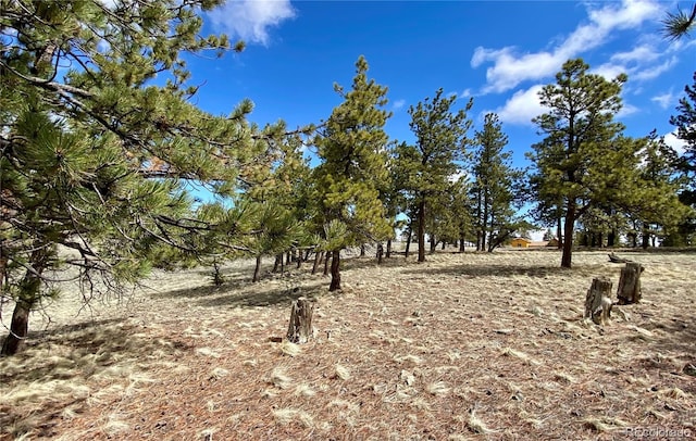 0 Oahu Rd, Buena Vista, CO 81211
