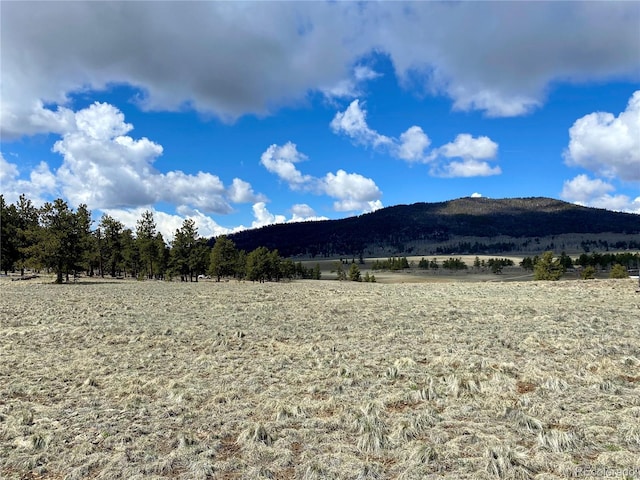 0 Oahu Rd, Buena Vista, CO 81211