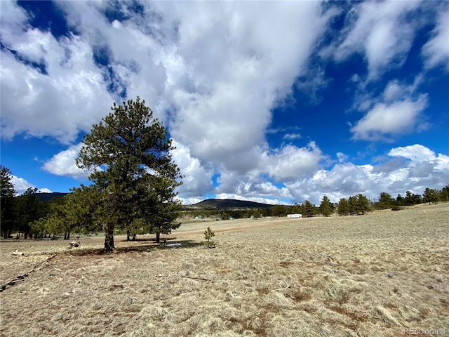 0 Oahu Rd, Buena Vista, CO 81211
