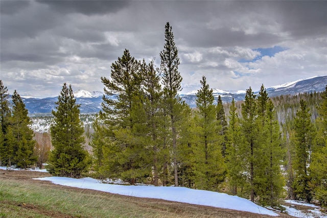 94300 Ryan Gulch Rd Unit 301, Silverthorne, CO 80498 - view of mountain backdrop with a forest