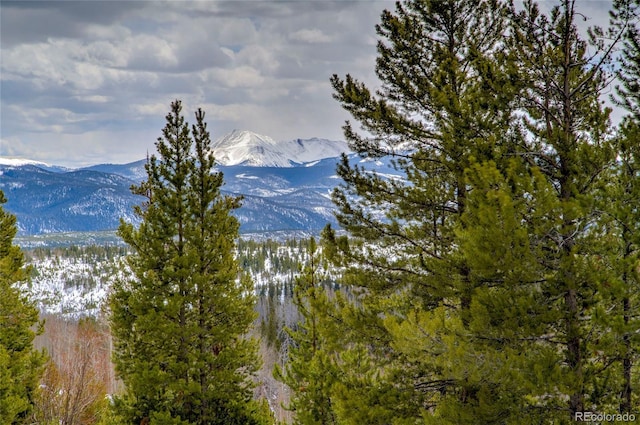 94300 Ryan Gulch Rd Unit 301, Silverthorne, CO 80498 - view of mountain background