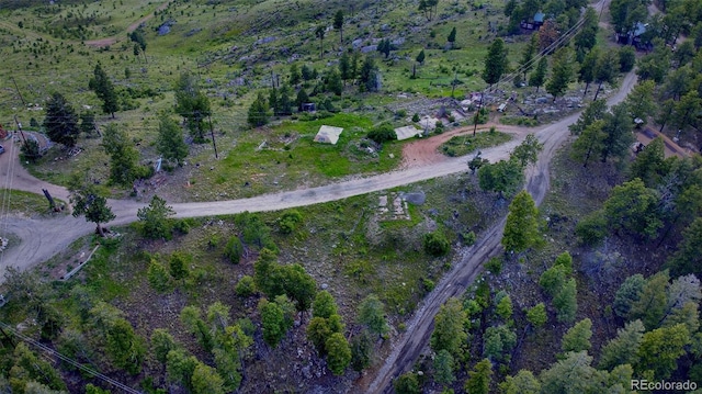 33888 Mineral Ln, Pine, CO 80470