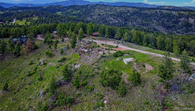 33888 Mineral Ln, Pine, CO 80470