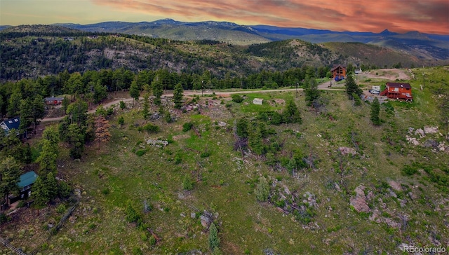 33888 Mineral Ln, Pine, CO 80470