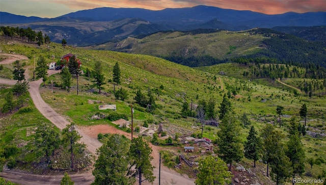 33888 Mineral Ln, Pine, CO 80470