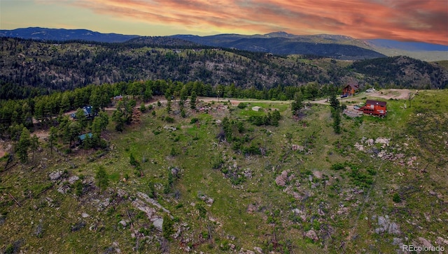 33888 Mineral Ln, Pine, CO 80470