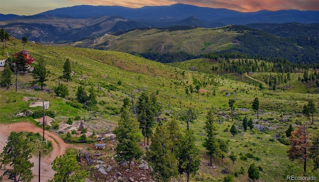 33888 Mineral Ln, Pine, CO 80470