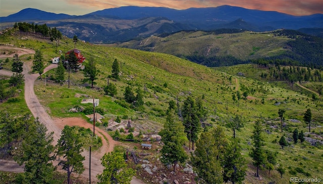 33888 Mineral Ln, Pine, CO 80470
