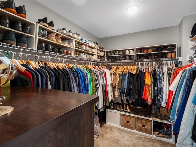 13041 Reata Ridge Dr, Parker, CO 80134 - spacious closet featuring carpet floors