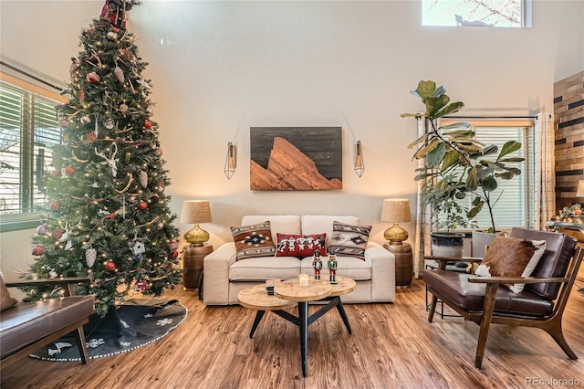 living room featuring hardwood / wood-style floors and a wealth of natural light