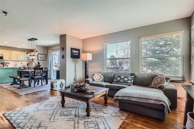 living room featuring dark hardwood / wood-style flooring