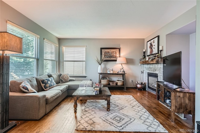 living room featuring a fireplace and hardwood / wood-style flooring