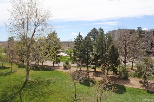 13952 E Marina Dr Unit 304, Aurora, CO 80014 - surrounding community with a lawn