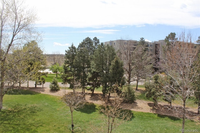 13952 E Marina Dr Unit 304, Aurora, CO 80014 - view of home's community with a yard