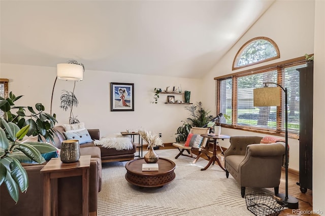 living room with lofted ceiling, wood finished floors, and baseboards