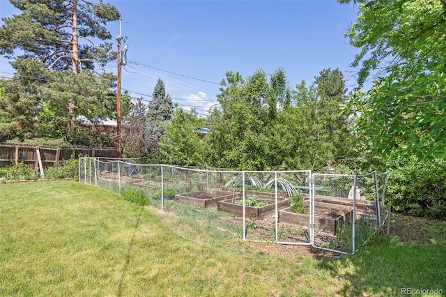 6869 S Foresthill St, Littleton, CO 80120 - photo 30