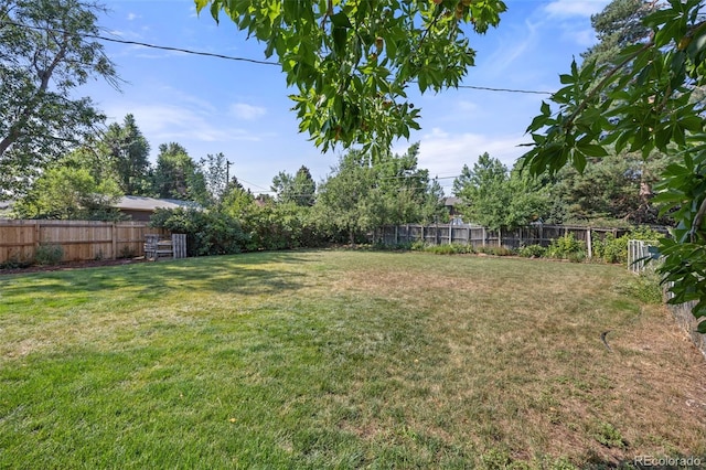 6869 S Foresthill St, Littleton, CO 80120 - photo 42