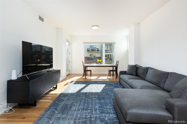 living room with wood-type flooring