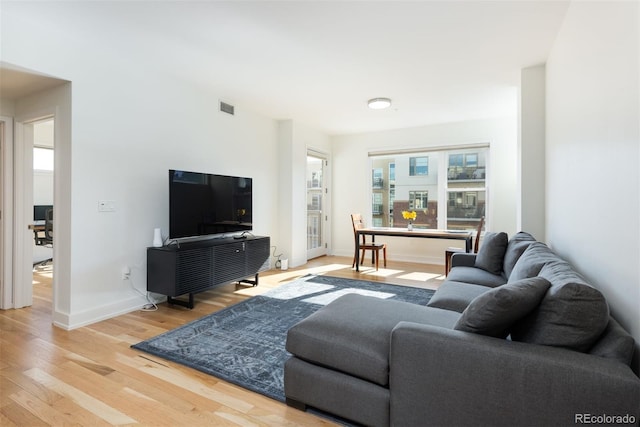 living room featuring wood-type flooring