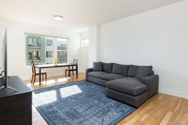 living room with hardwood / wood-style flooring