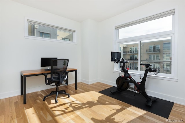 office area featuring hardwood / wood-style flooring