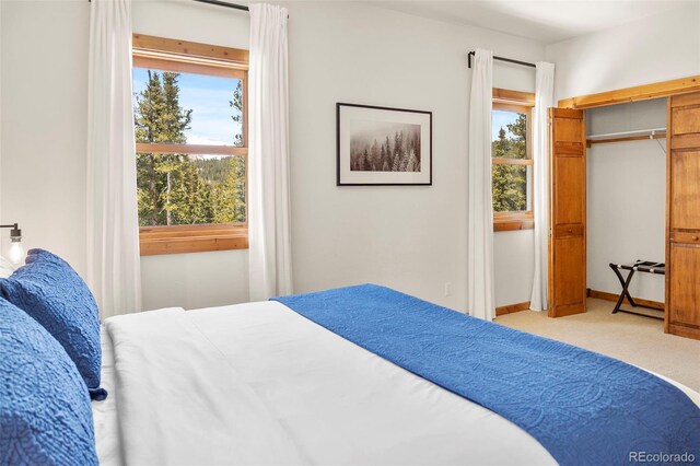 1564 Valley Of The Sun Dr, Fairplay, CO 80440