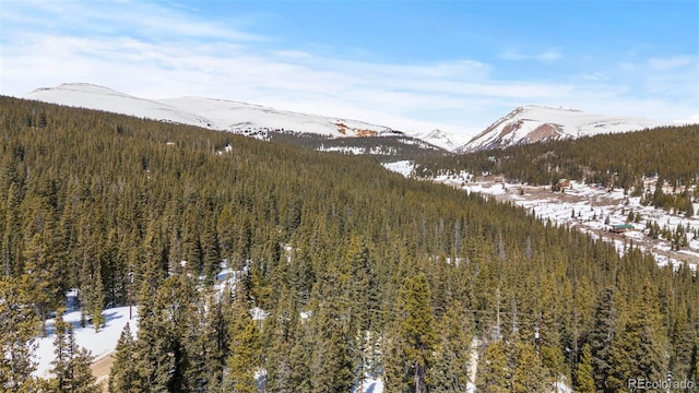 1564 Valley Of The Sun Dr, Fairplay, CO 80440