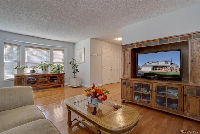 living room featuring a textured ceiling and hardwood / wood-style flooring