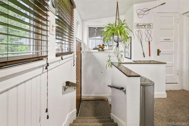 2131 Eliot St, Denver, CO 80211 - staircase featuring carpet and lofted ceiling