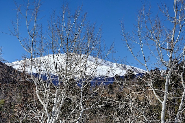 view of snow covered land featuring a mountain view