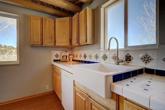 kitchen featuring wood finished floors, a sink, baseboards, backsplash, and dishwasher