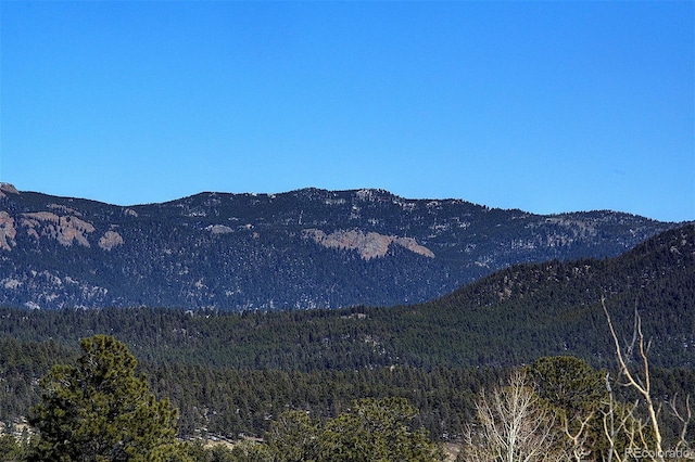 view of mountain feature featuring a forest view