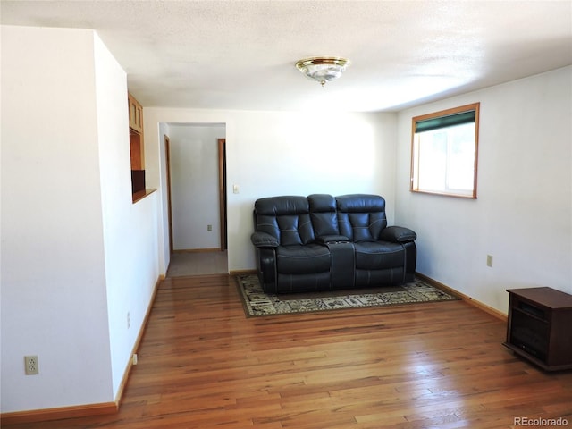 living room with a textured ceiling and hardwood / wood-style flooring