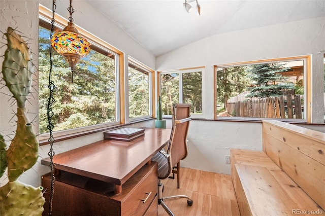 5732 Santa Clara Rd, Indian Hills, CO 80454 - home office featuring wood finished floors and lofted ceiling