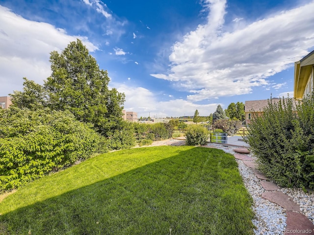 581 N Flat Rock Cir, Aurora, CO 80018 - view of grassy yard