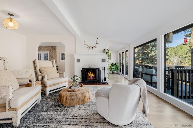 7869 S Turkey Creek Rd, Morrison, CO 80465 - living room featuring arched walkways, a fireplace, and light wood-type flooring