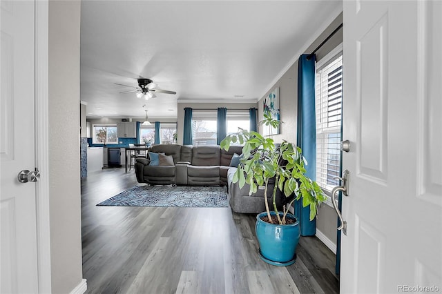 living room featuring wood-type flooring, ornamental molding, and ceiling fan