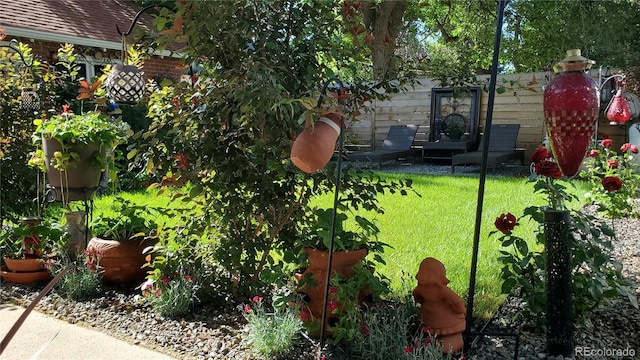 3016 N Franklin St, Denver, CO 80205 - view of yard