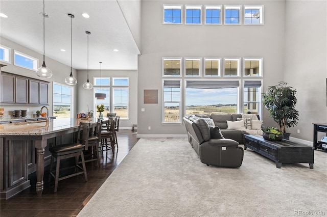 living room with sink, dark hardwood / wood-style flooring, and a high ceiling