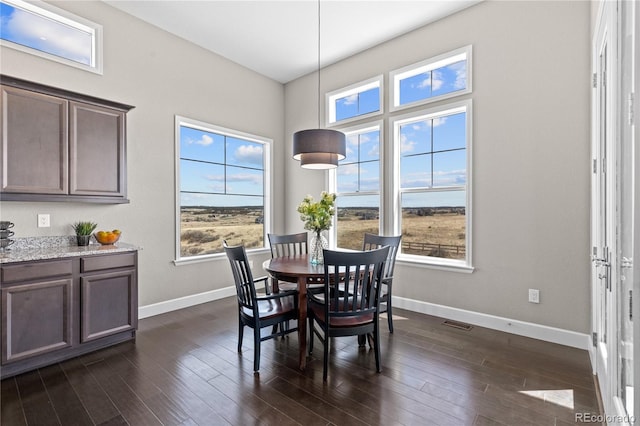 dining area with dark hardwood / wood-style flooring and plenty of natural light