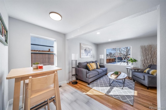 living area with baseboards and wood finished floors