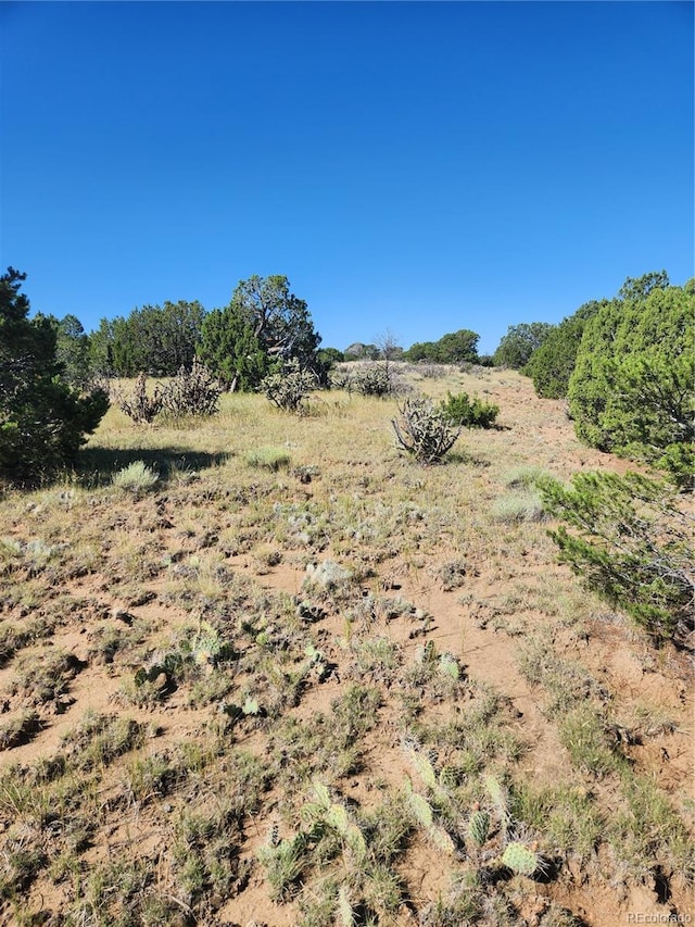 Listing photo 3 for LOT756 Lomita Verde Pl, Walsenburg CO 81089