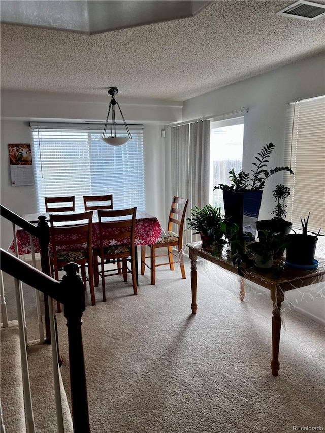 carpeted dining area with a textured ceiling and plenty of natural light