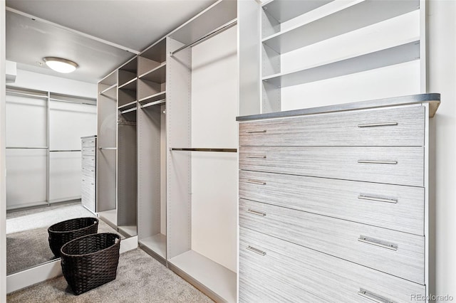3444 Navajo St Unit 10, Denver, CO 80211 - walk in closet featuring carpet flooring