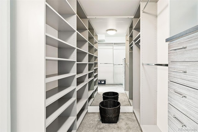 3444 Navajo St Unit 10, Denver, CO 80211 - view of walk in closet
