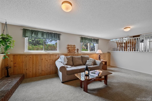 4525 S Cole Ct, Morrison, CO 80465 - carpeted living room featuring a textured ceiling, wood walls, and wainscoting
