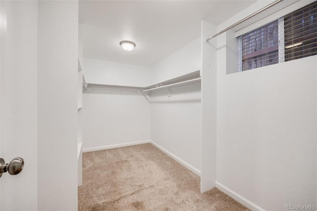 1765 Xenia St, Denver, CO 80220 - walk in closet with carpet floors
