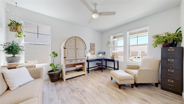 689 Olive St, Broomfield, CO 80023 - living area featuring light wood finished floors and ceiling fan