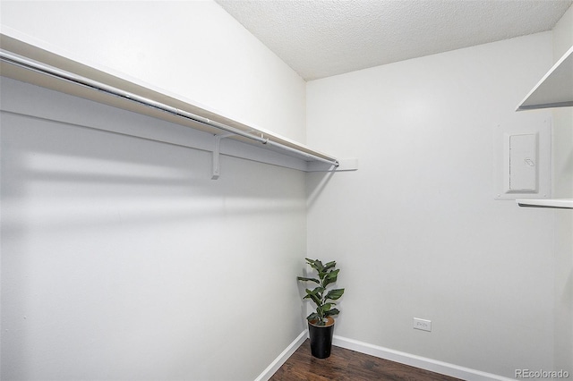 walk in closet with dark hardwood / wood-style flooring