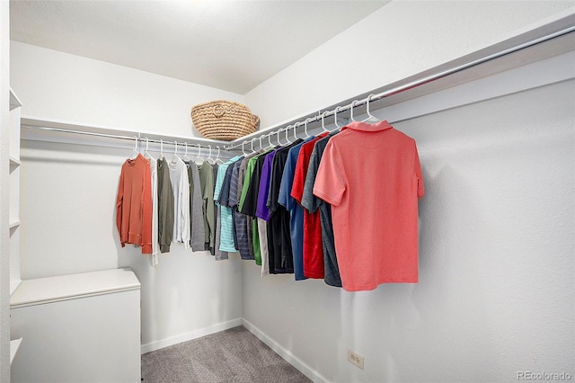 spacious closet featuring carpet flooring